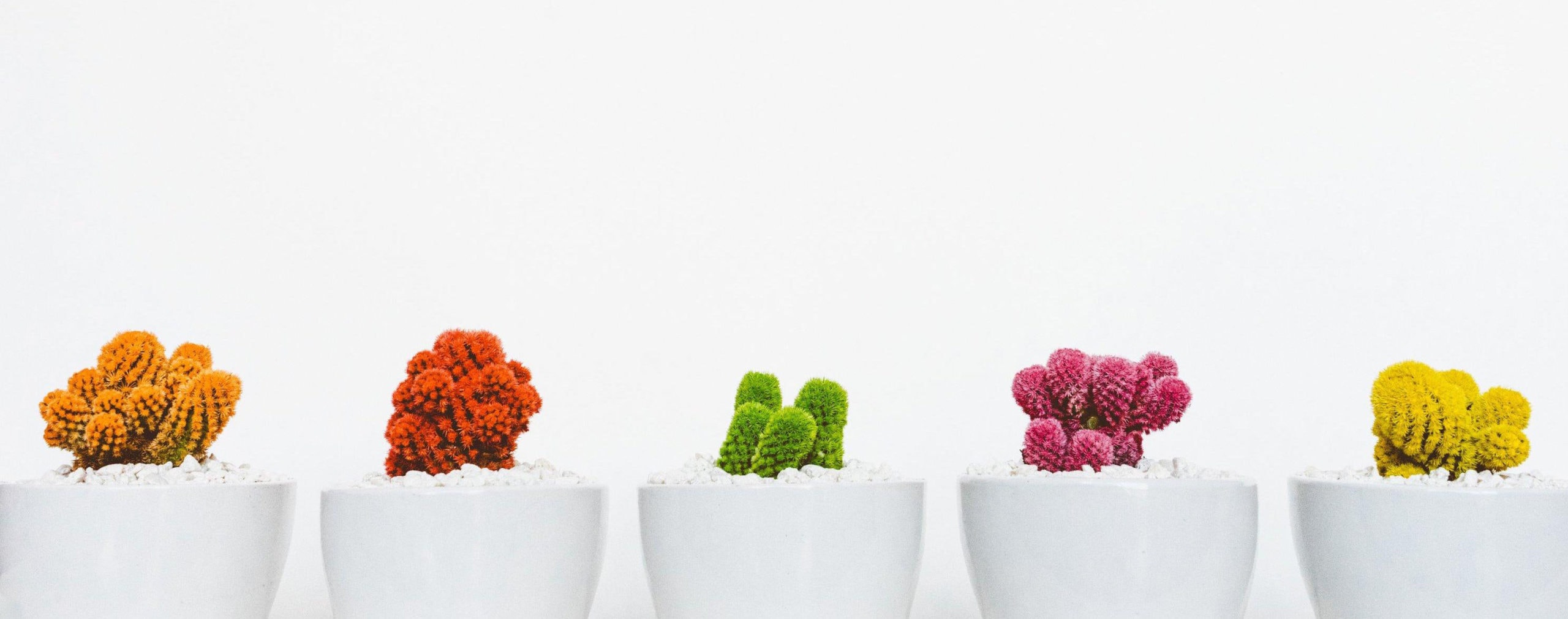 X7i575OhrFRhcRCxjrN6 scaled X7i575OhrFRhcRCxjrN6 scaled