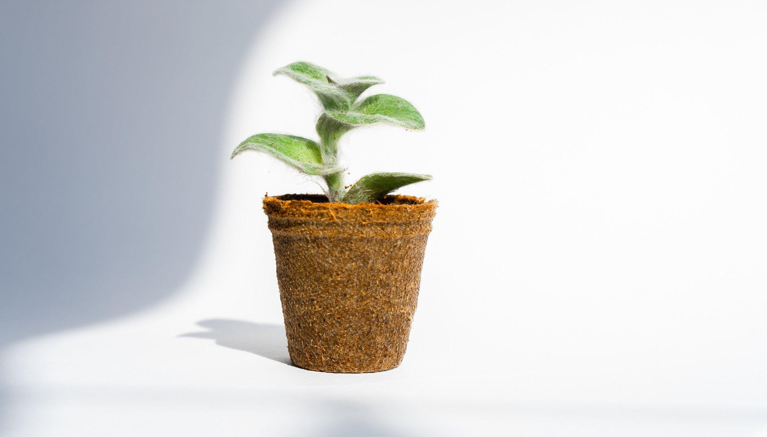 ZPRdjf7jrKL2H9re1C4y