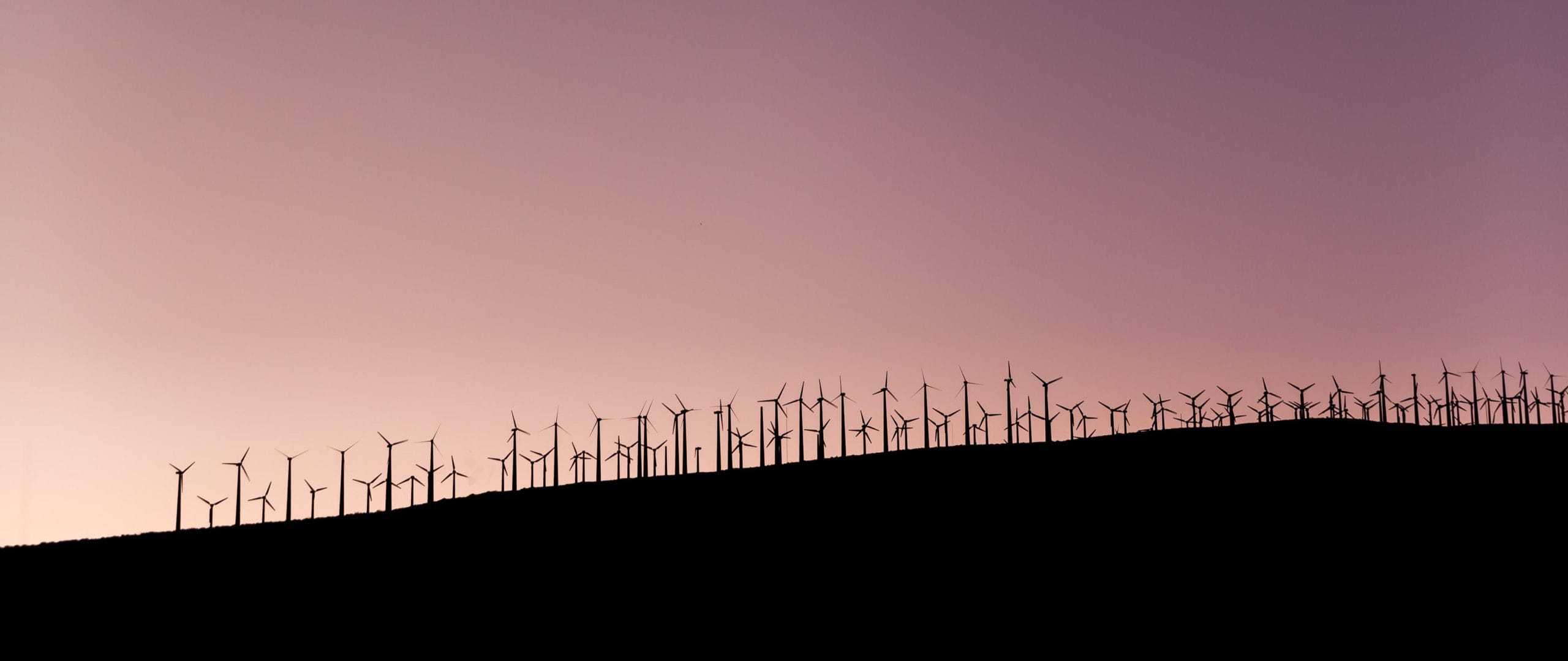 fAIOmOZDFP2evgQ0Hrsv 1 scaled fAIOmOZDFP2evgQ0Hrsv 1 scaled