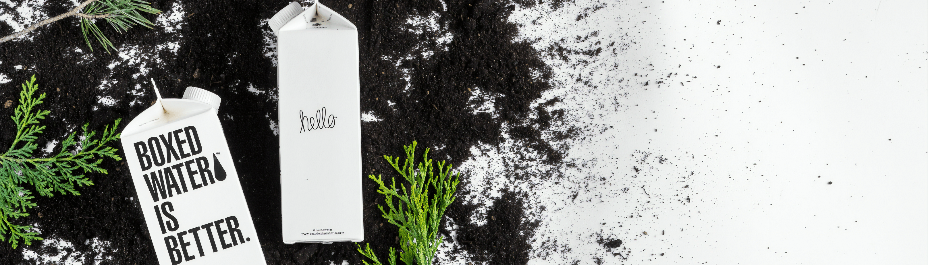 art64 microsite article banner