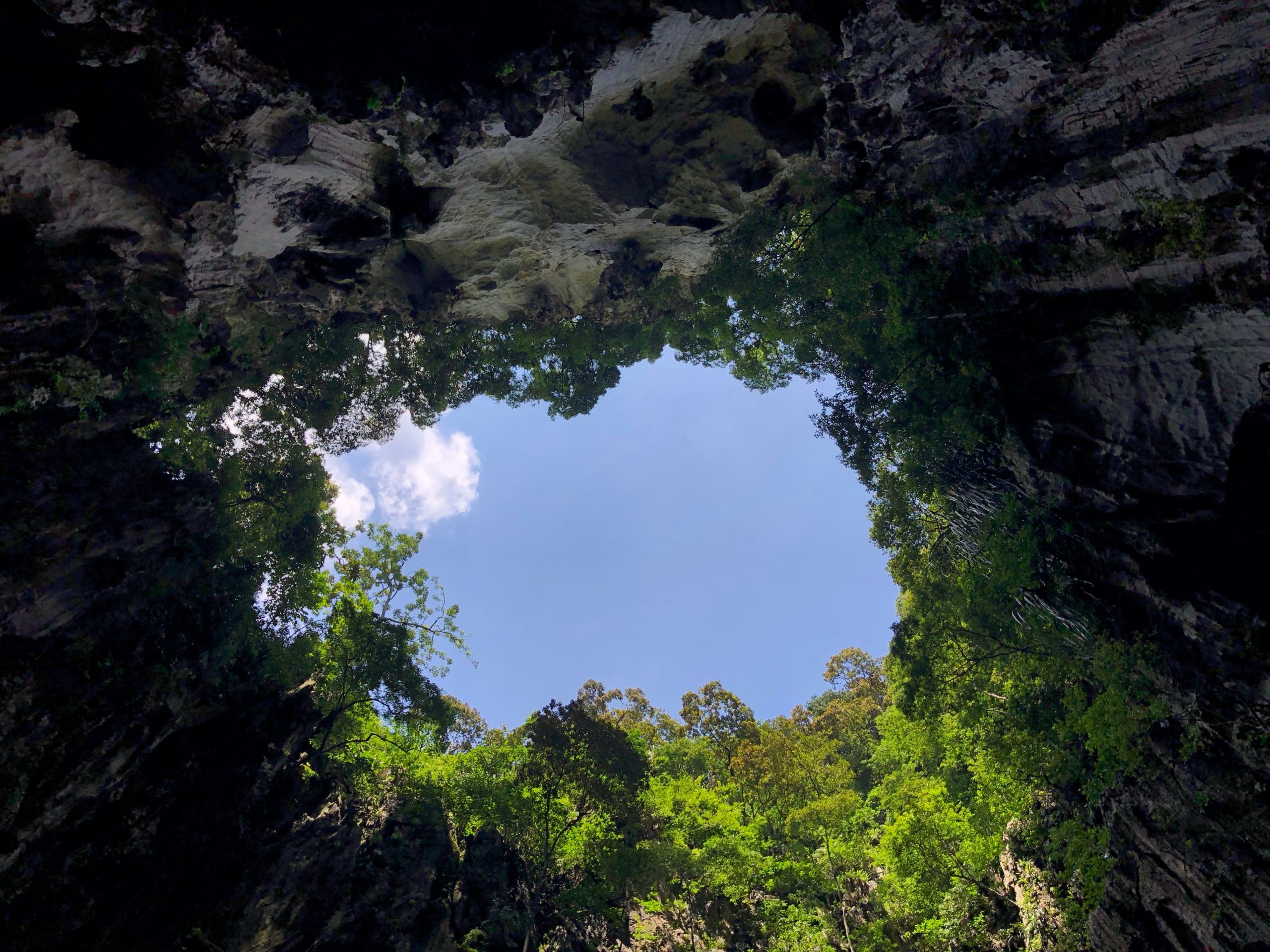 anoushka p QGOmMsLUni4 unsplash scaled