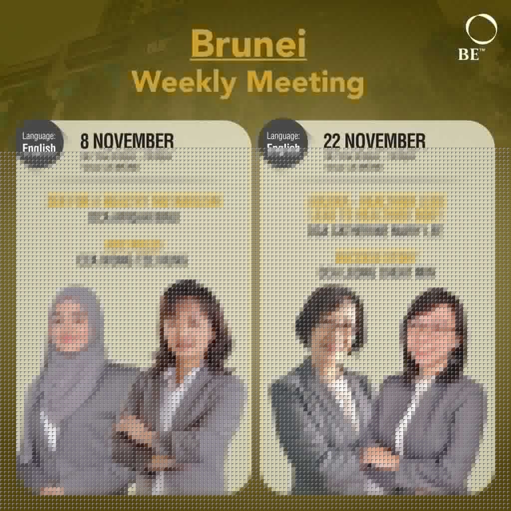 Weekly meeting for 8 and 22 NOVEMBER
