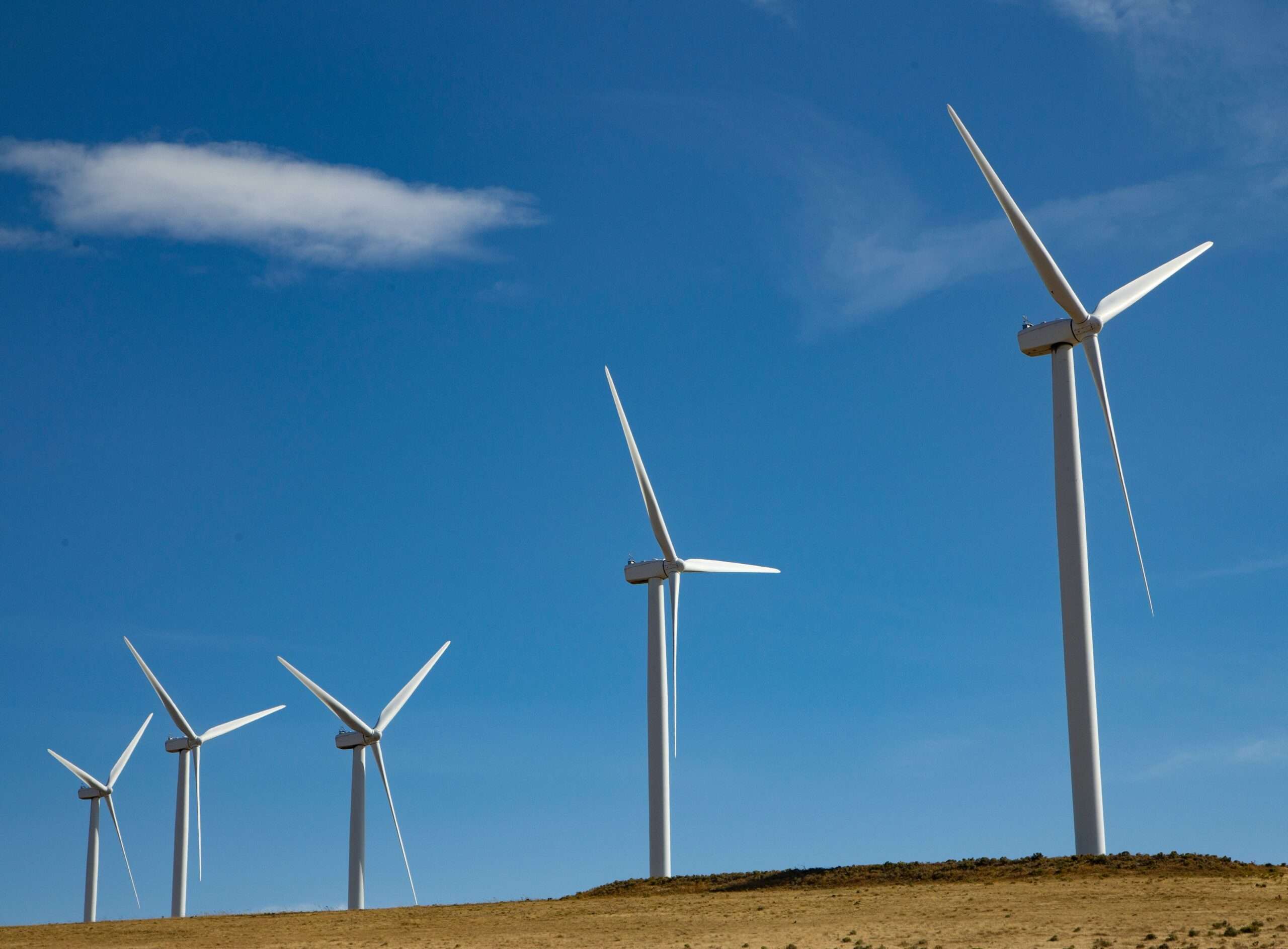 pexels rod shelley 14632632 scaled