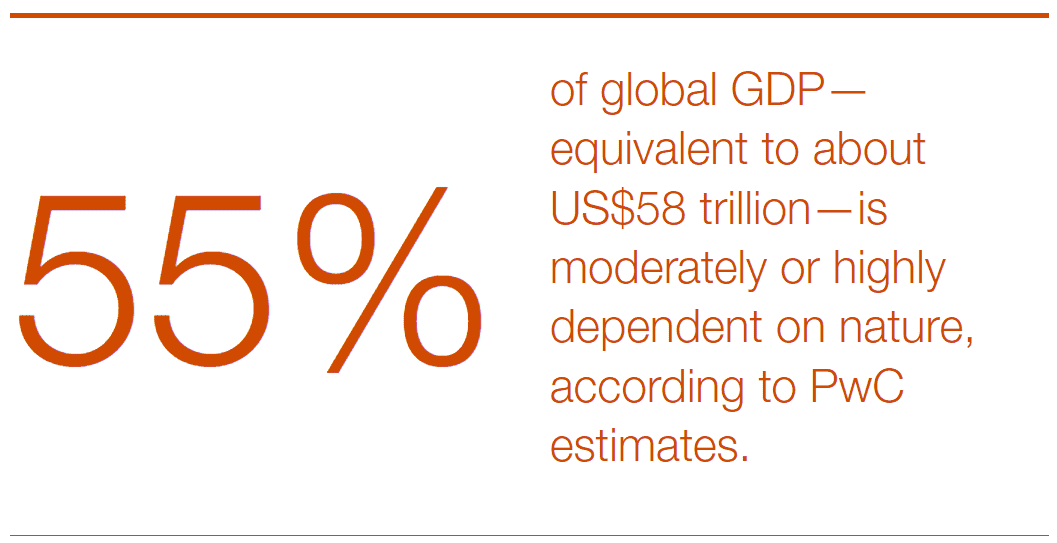 PwC - Thriving in an age 11 PwC Thriving in an age 11