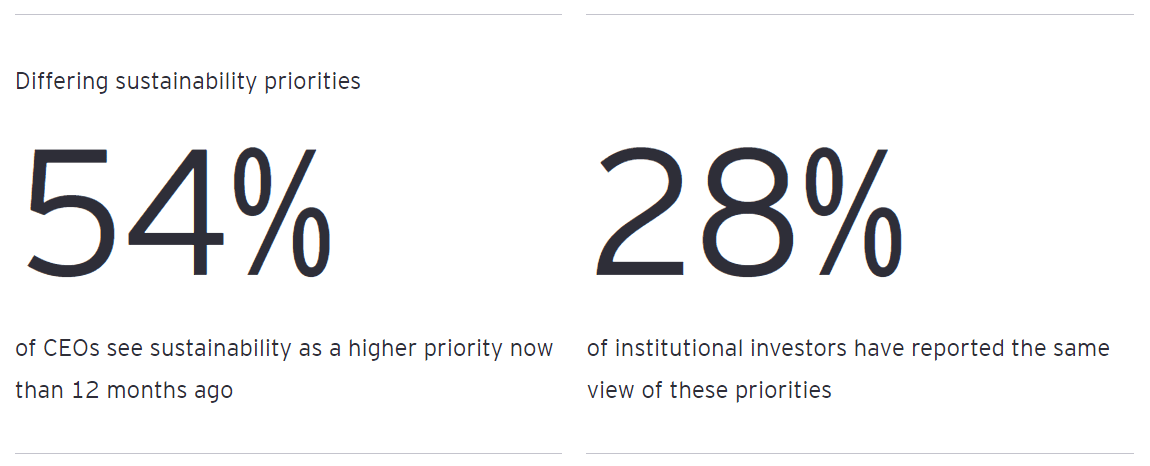 CEO Imperative 1 CEO Imperative 1