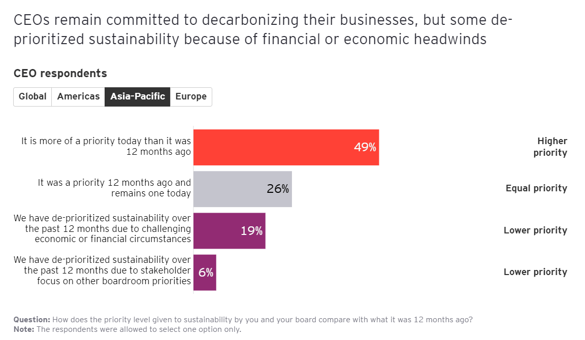 CEO Imperative 11 CEO Imperative 11
