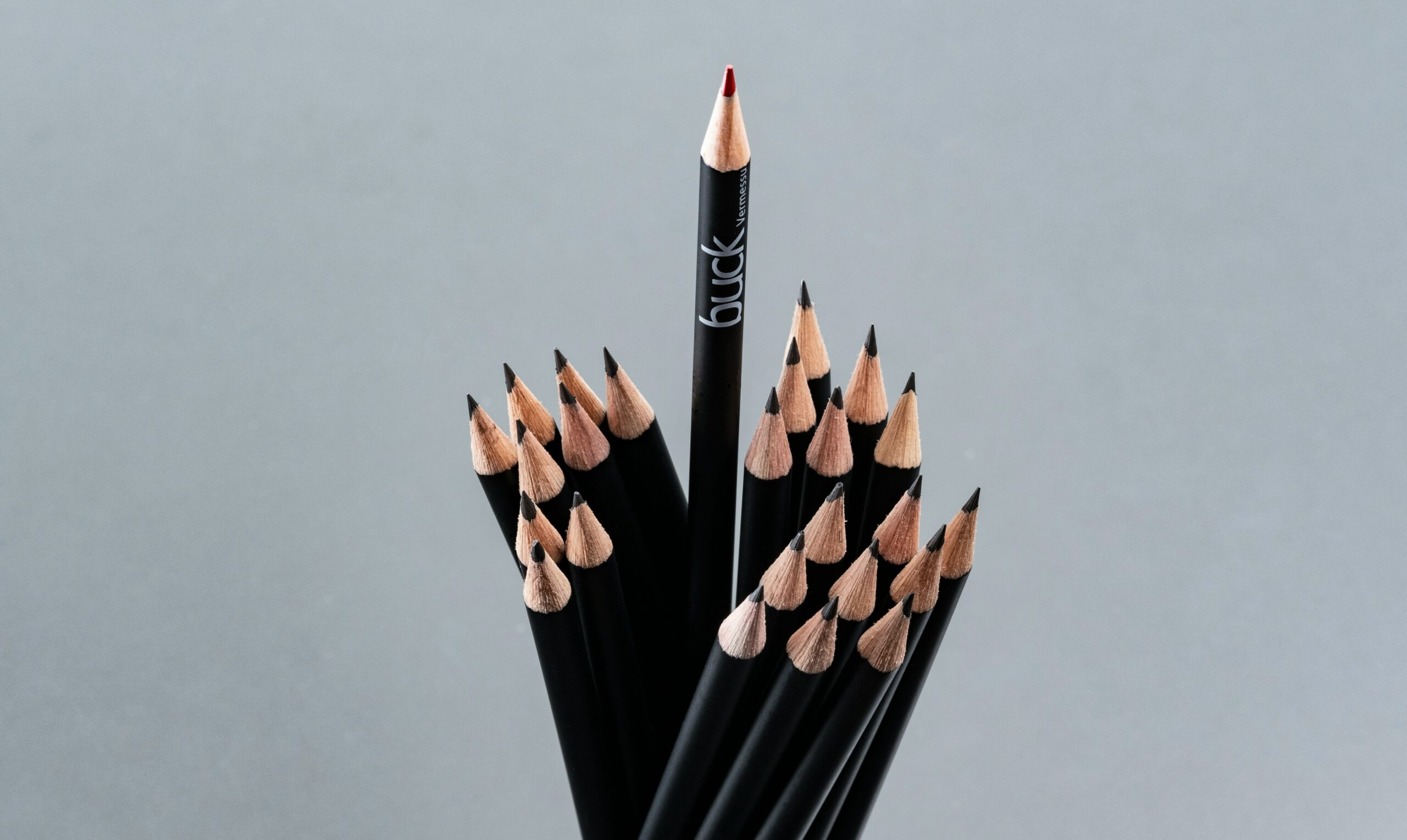 mario zgoll hAnGpHVWIFA unsplash scaled